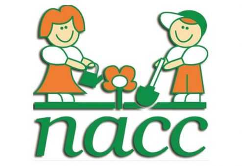 Mercado no Ar - Kalulu é a nova agência publicitária solidária do Nacc